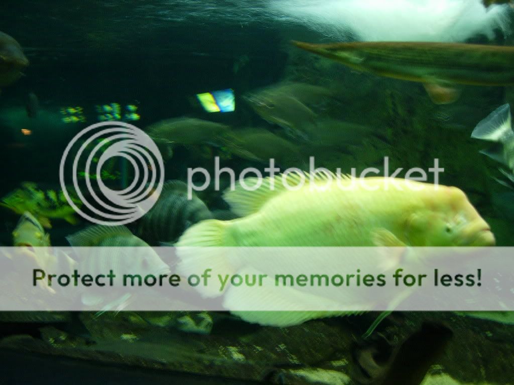 2008076.jpg