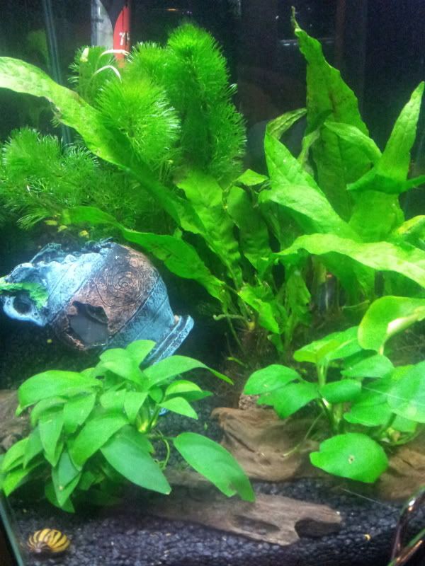 2012-03-17184217.jpg