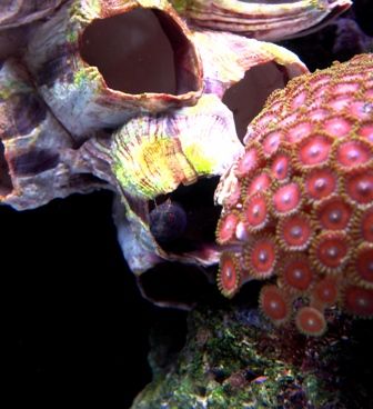 fts2.jpg