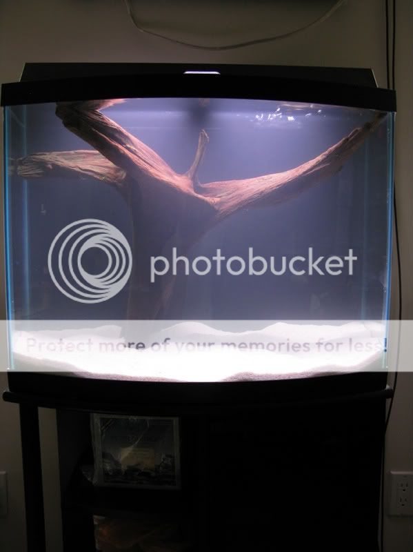 Picture330.jpg