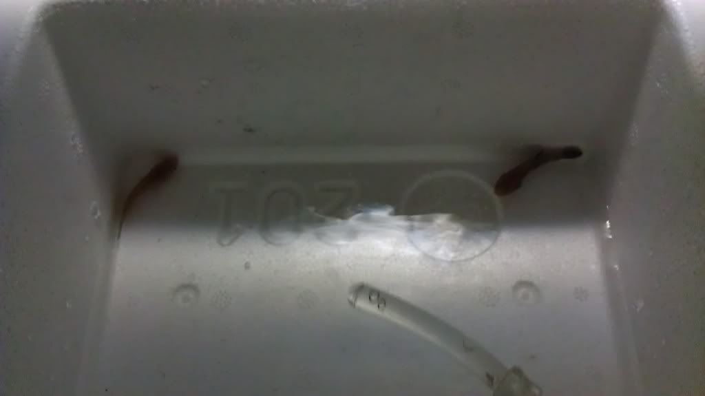 IMAG1102_zps2a81150a.jpg