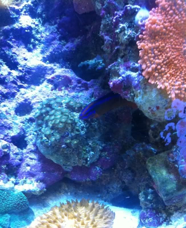 dd72751f.jpg
