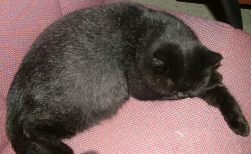 DSCF3607.jpg