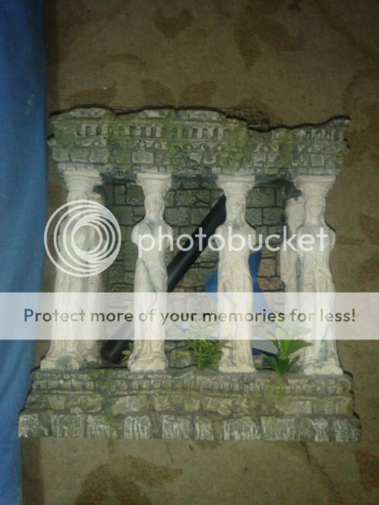 23092009047.jpg
