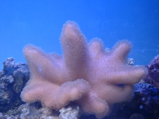 DSCF0140.jpg