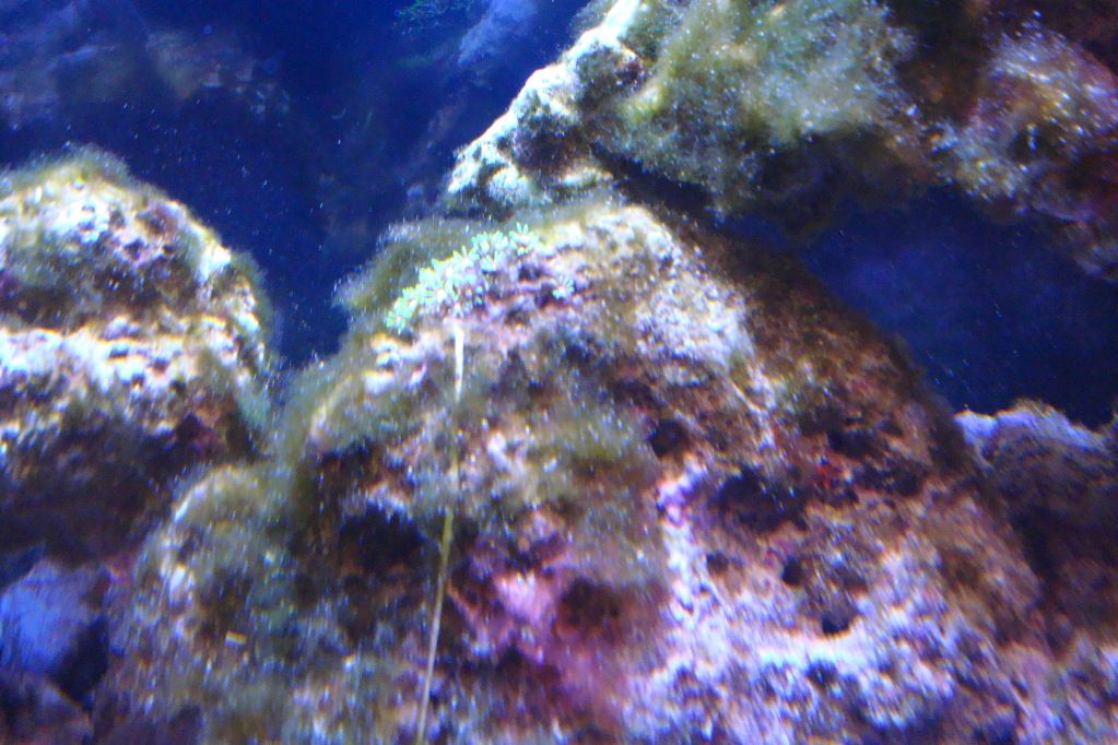 DSC02654.jpg