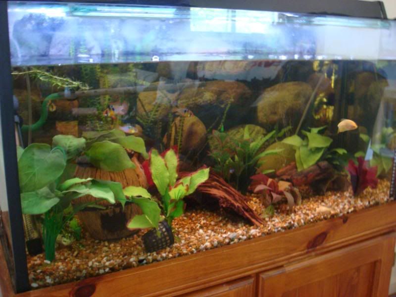 ramtank002.jpg