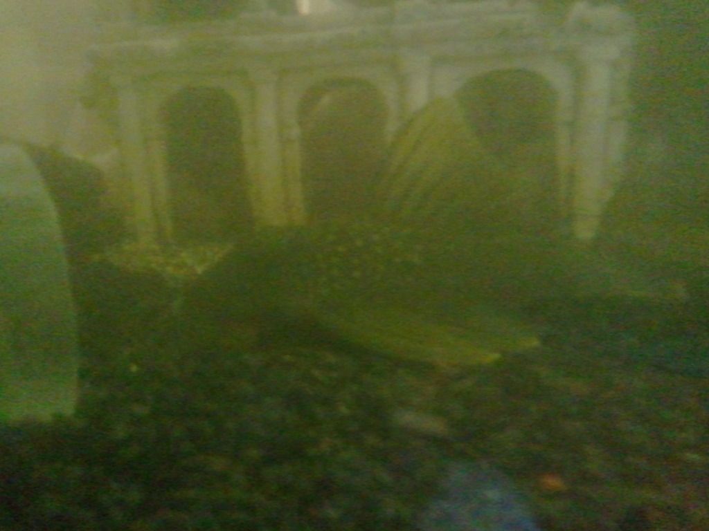 2012-08-07104217.jpg