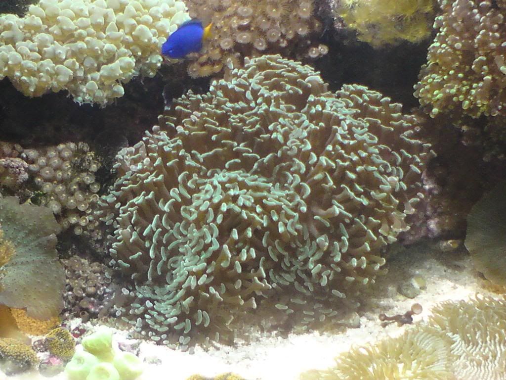 DSC00006-1.jpg