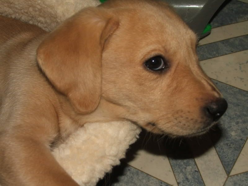 December2006034.jpg