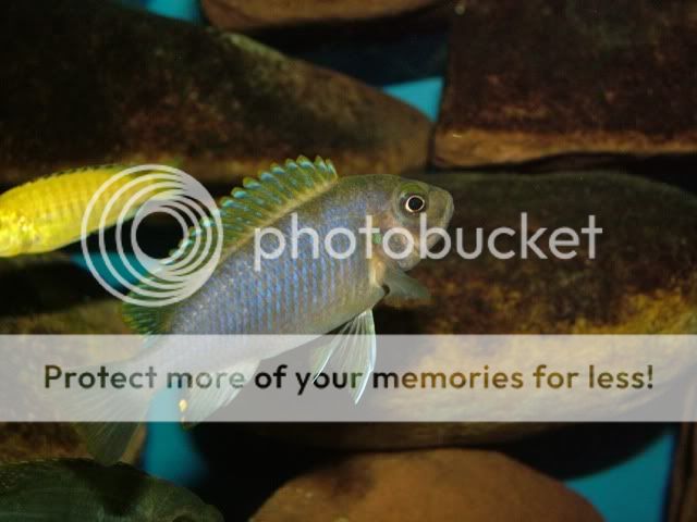 DSCF3554.jpg