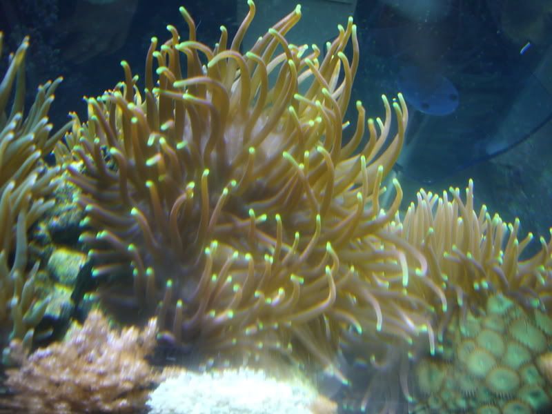 P1010169.jpg