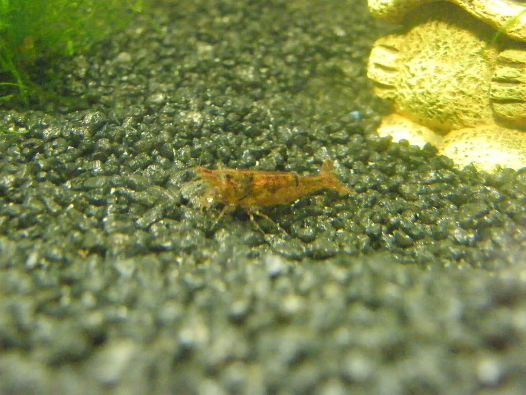 DSCF2886.jpg