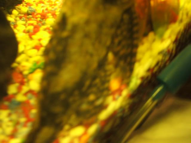 Picture015.jpg