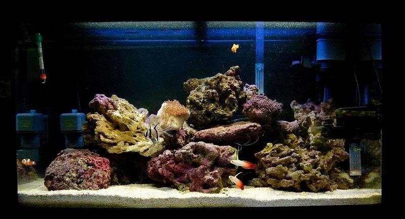 24apriltank.jpg