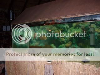 SDC11200.jpg
