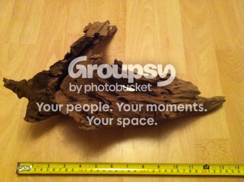 photo-5.jpg