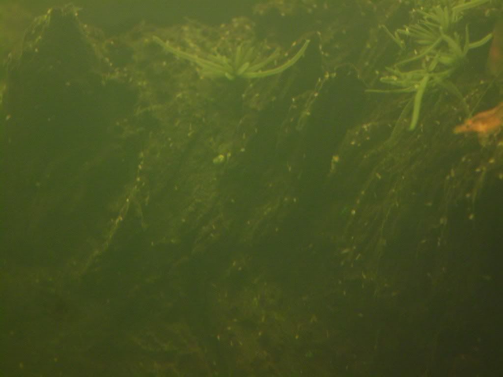 S7003666.jpg