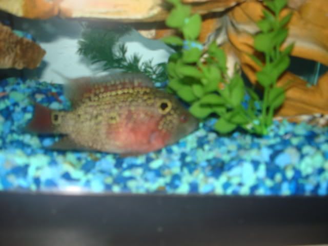 DSC01457.jpg