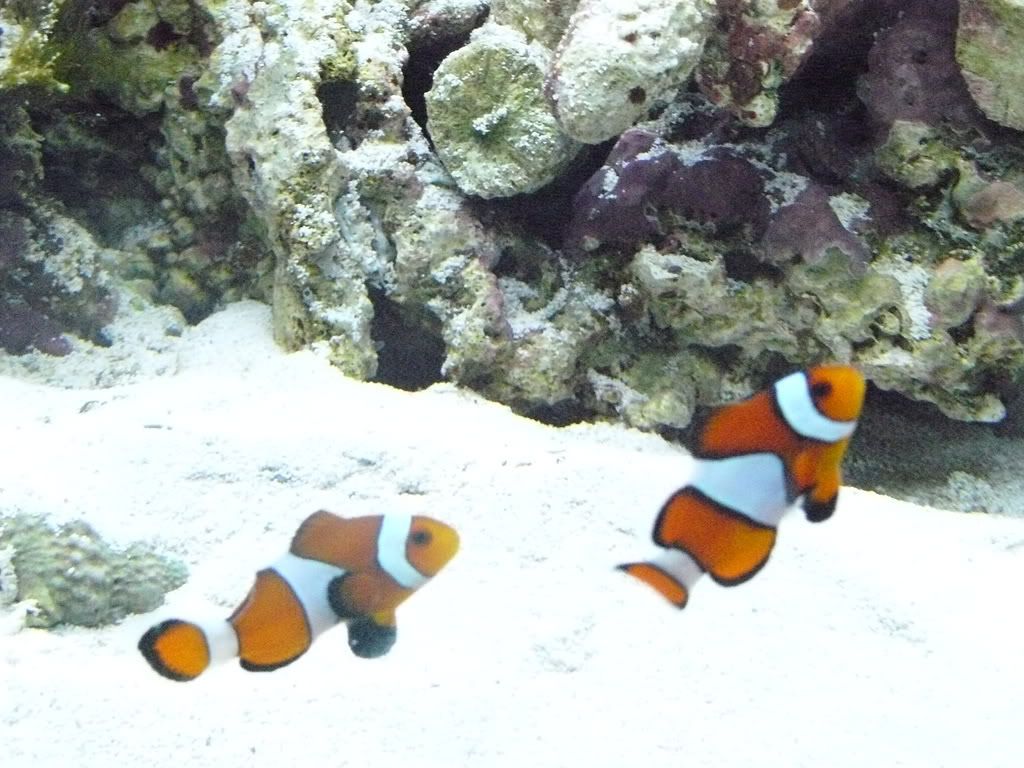 P1010077.jpg