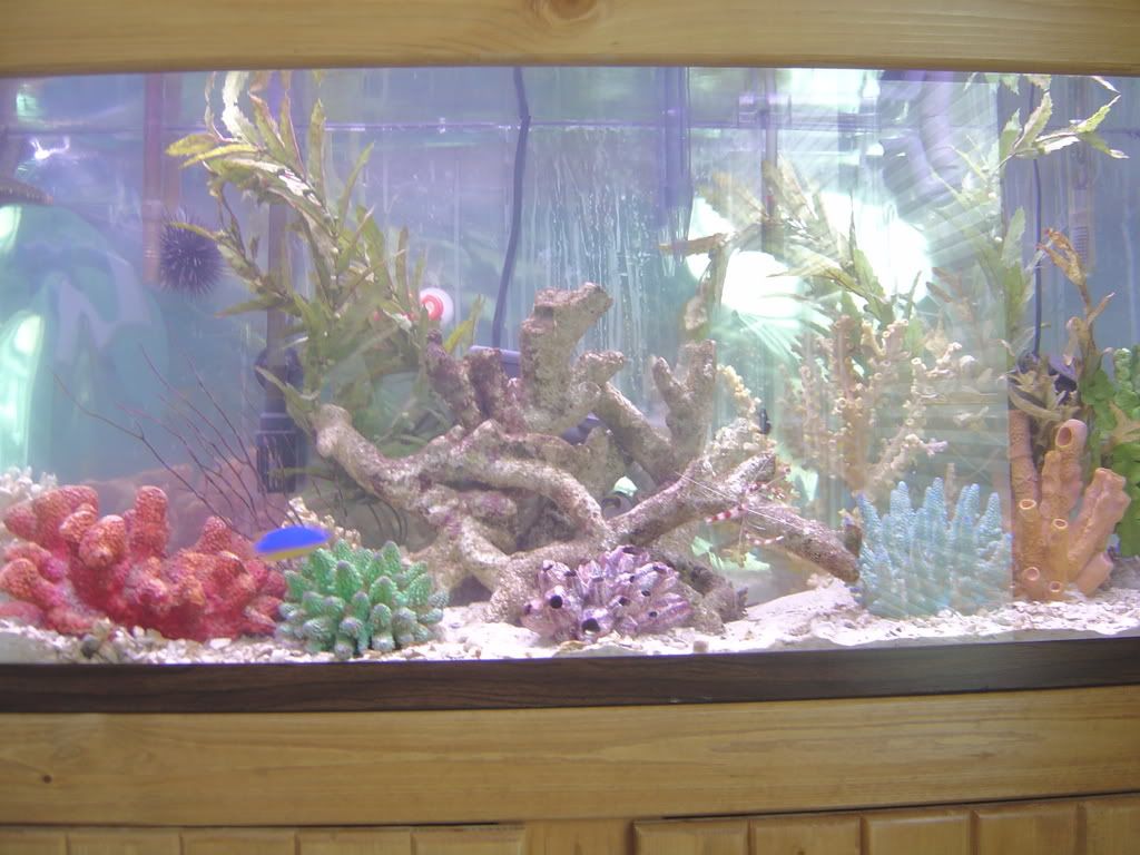 tank006-1.jpg
