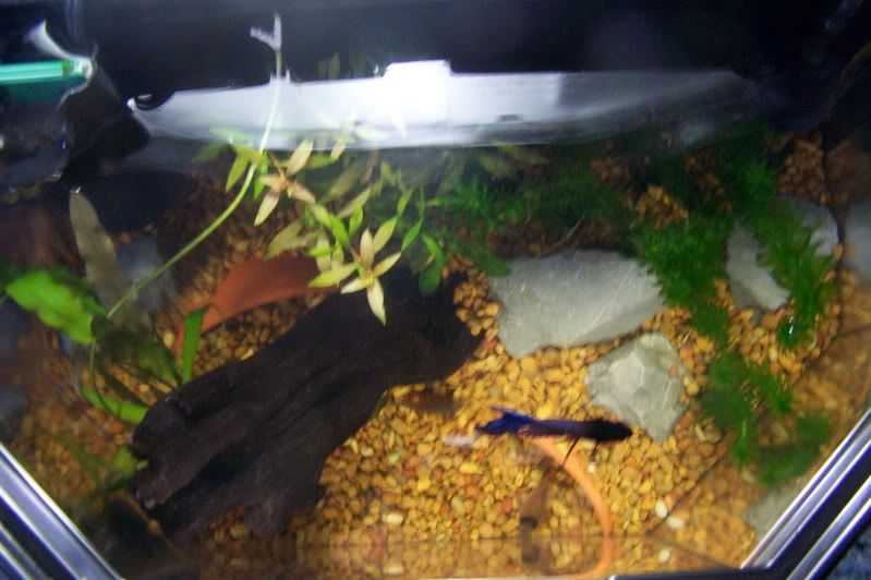 100_7672.jpg