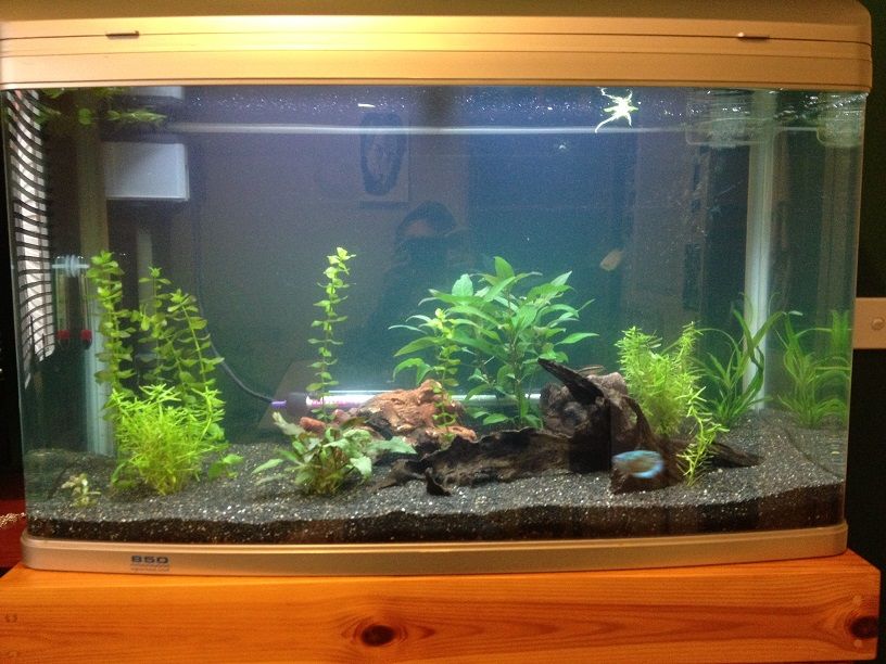 Aquarium_zps98d8932f.jpg