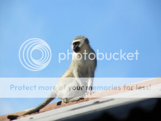 20120406_4.jpg