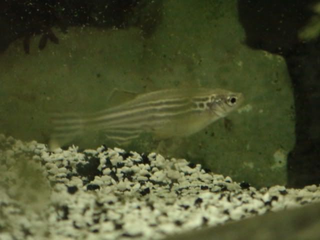 DSC00021.jpg
