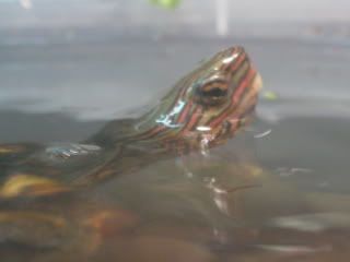 DSC05889.jpg
