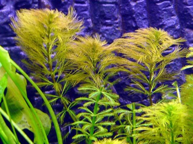 IMAG0015_edited.jpg