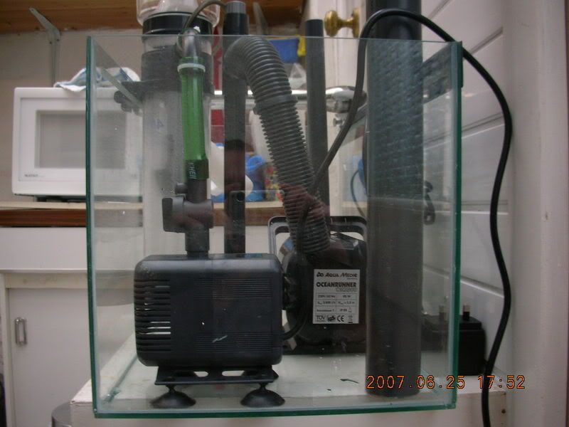 DSCN1782.jpg