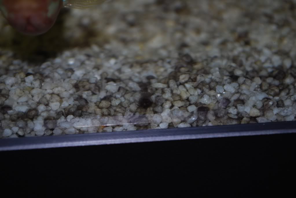DSC_0141.jpg