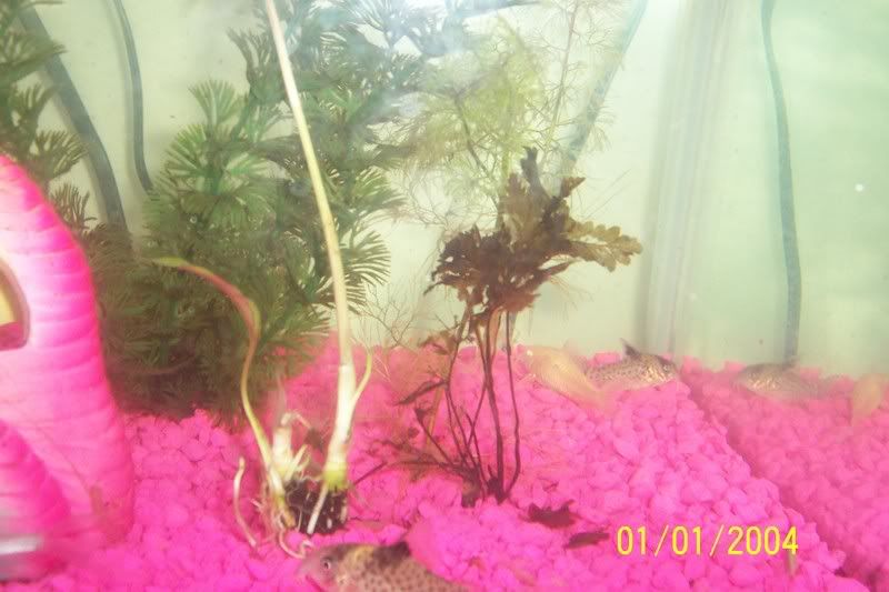 100_1210.jpg