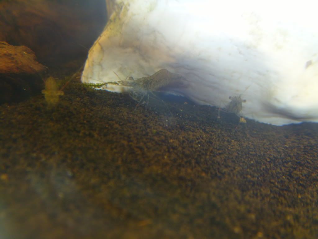 S7002519.jpg