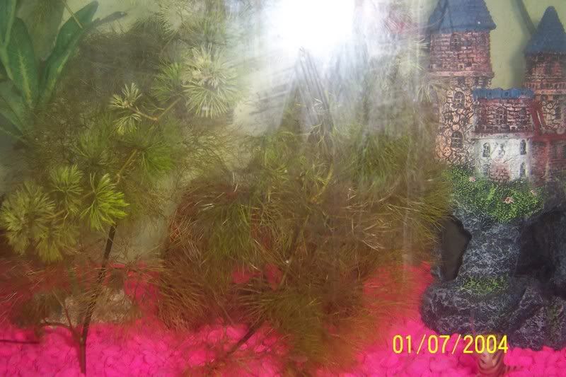 100_1154.jpg