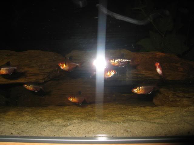 IMG_3179.jpg