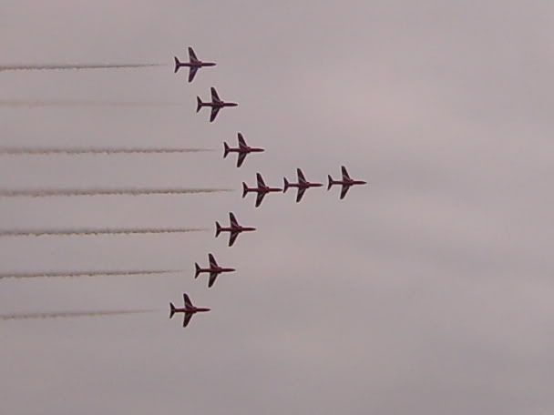 S5005797.jpg