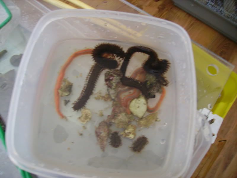 damagedelivery016-1.jpg