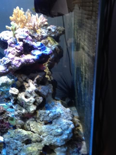 photo3-15.jpg