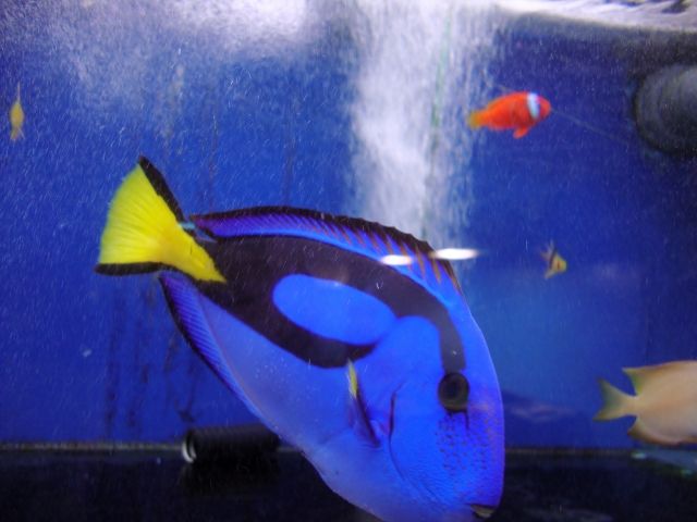 DSC01387.jpg