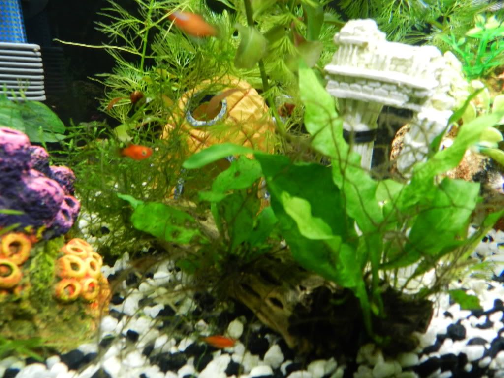 DSCN5306.jpg