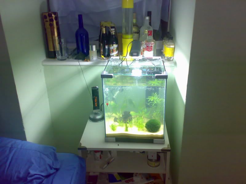 24042007087.jpg