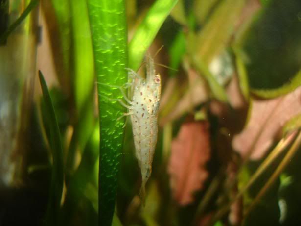 cbcb9582.jpg
