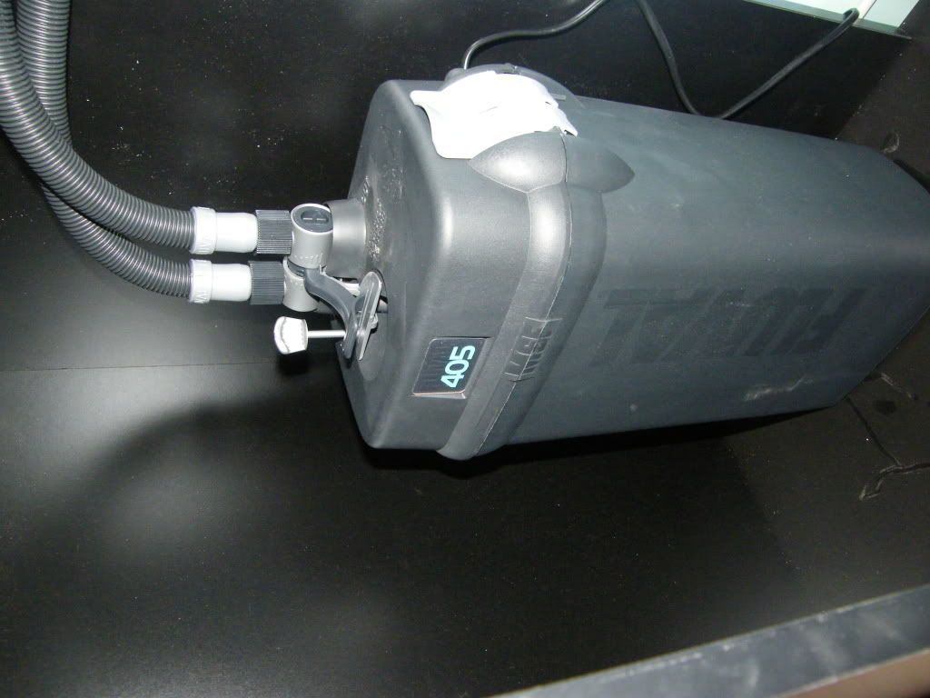 DSCF4563.jpg