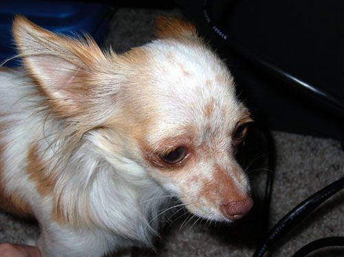 DSCN4588.jpg