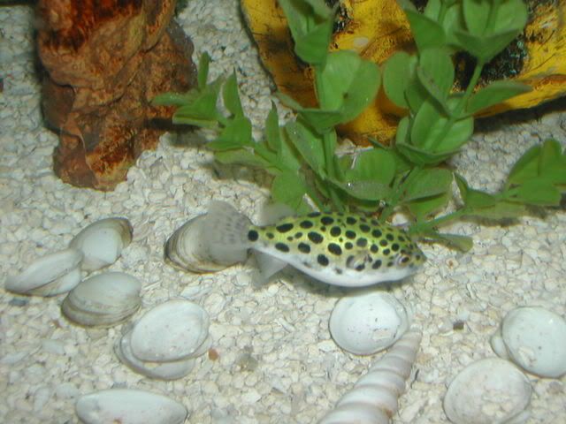 DSCN2515.jpg