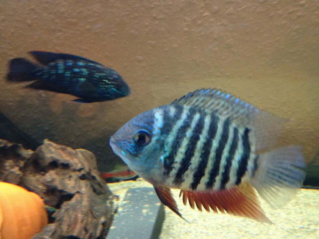 IMG_0075.jpg