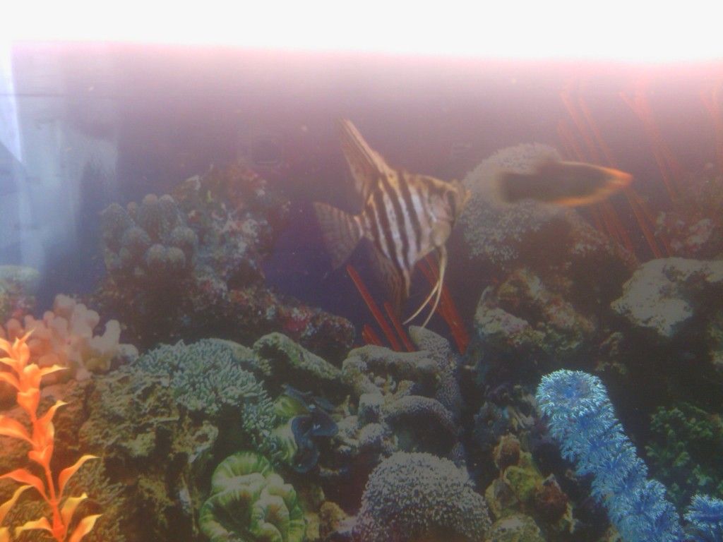 IMG_20120728_151603.jpg