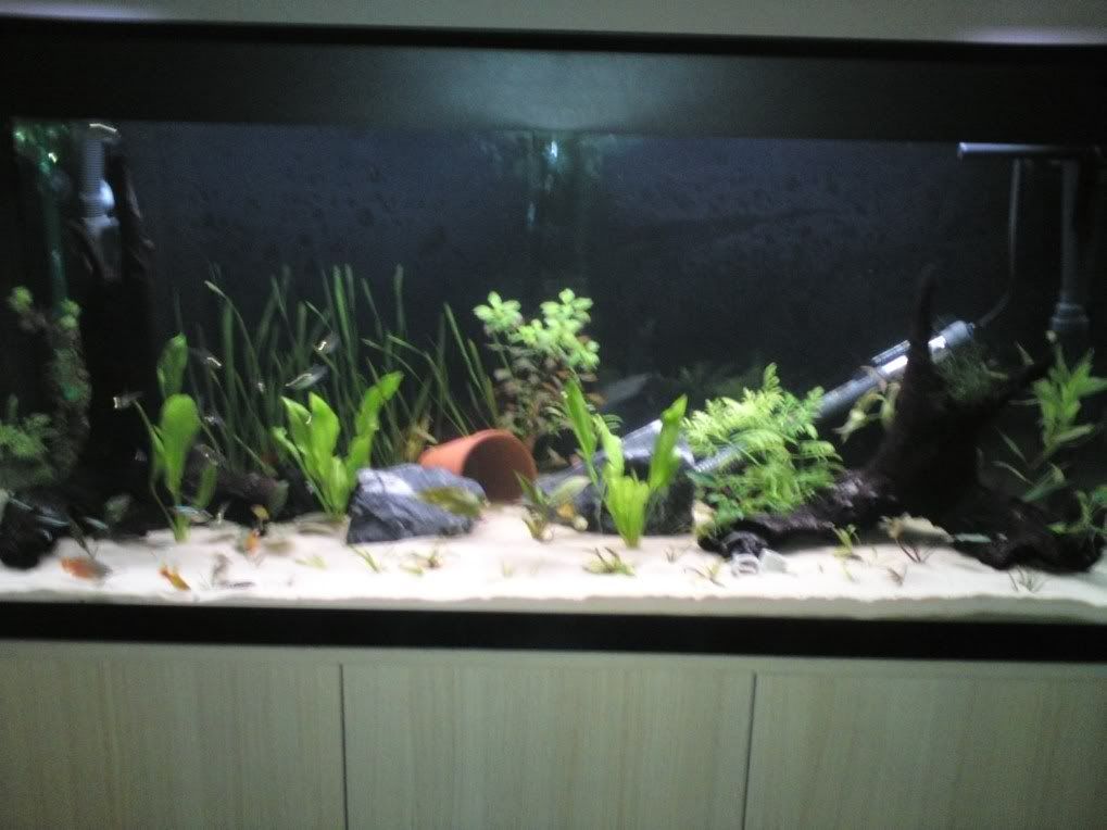 photo-8.jpg